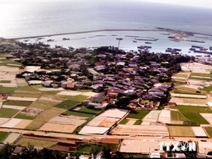 Ly Son strives to attract more visitors